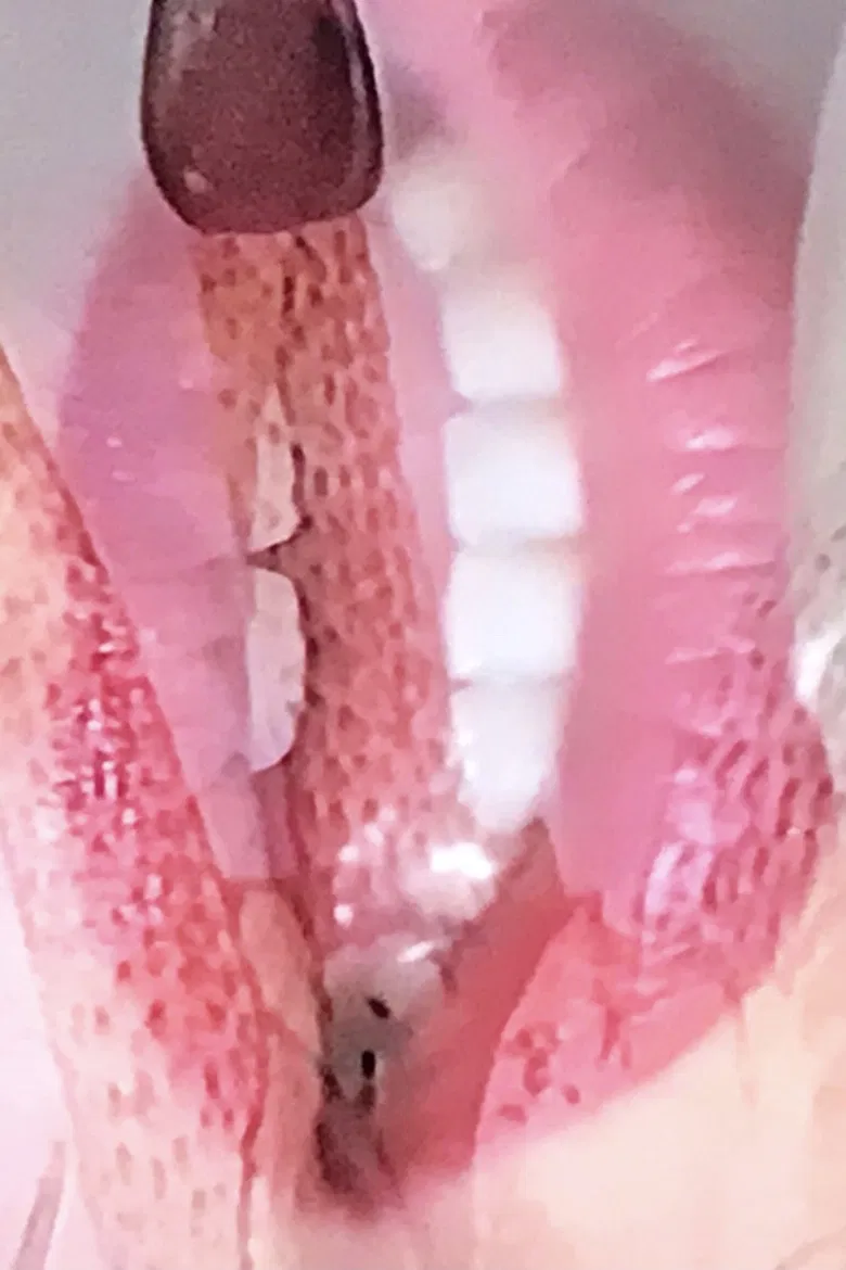 Art-Usi poster background