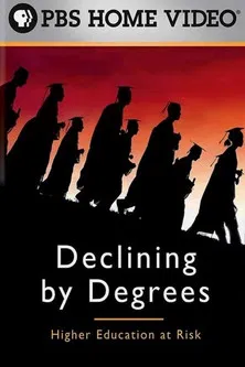 Declining by Degrees: Higher Education at Risk poster background