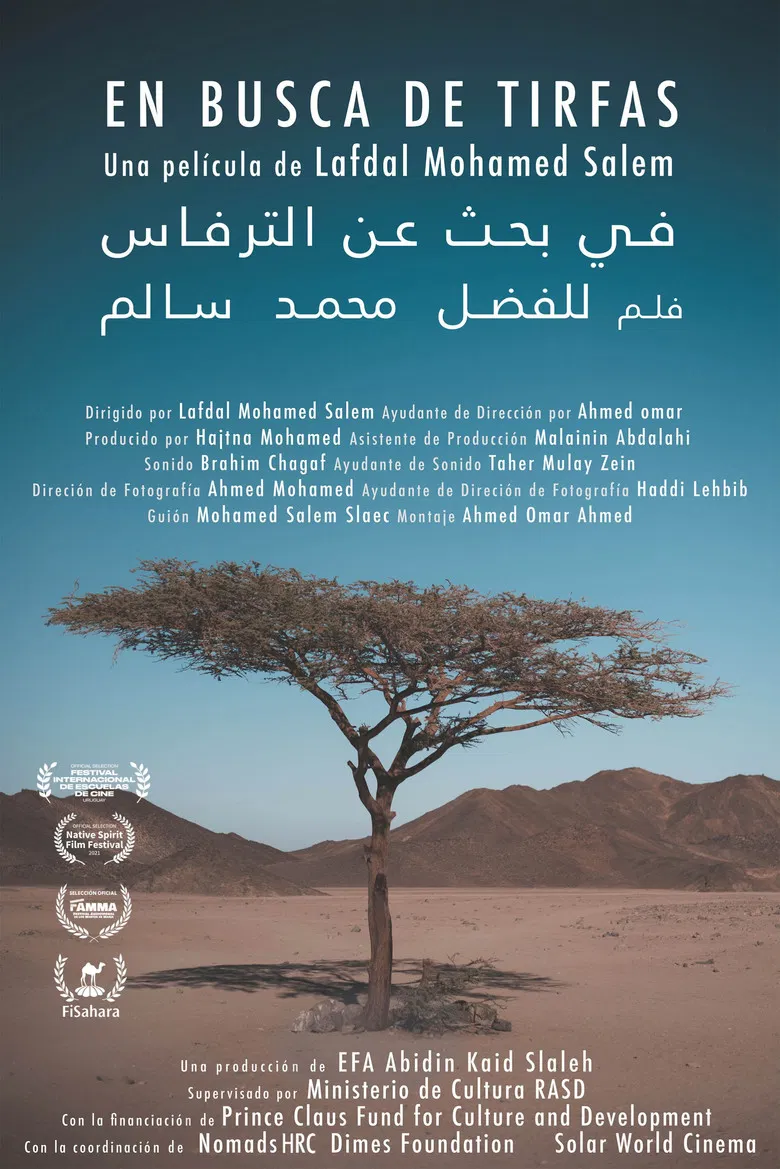 Searching for Tirfas poster background