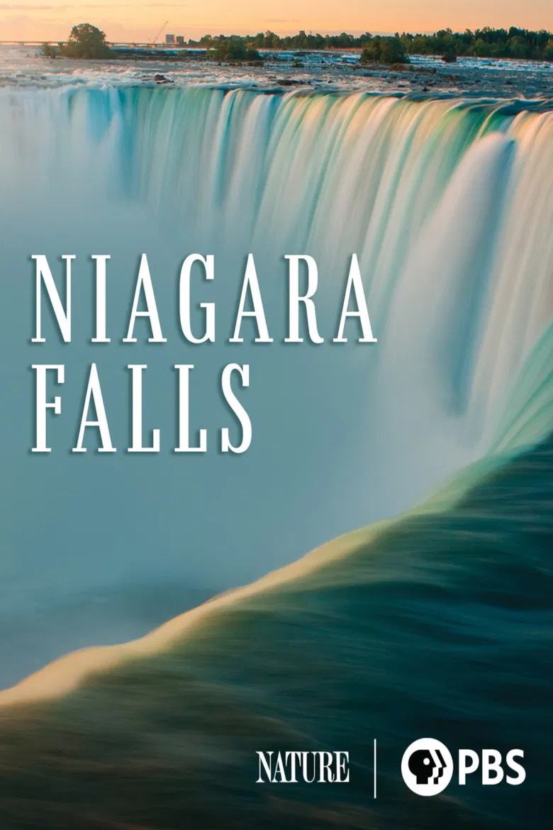 Niagara Falls poster background