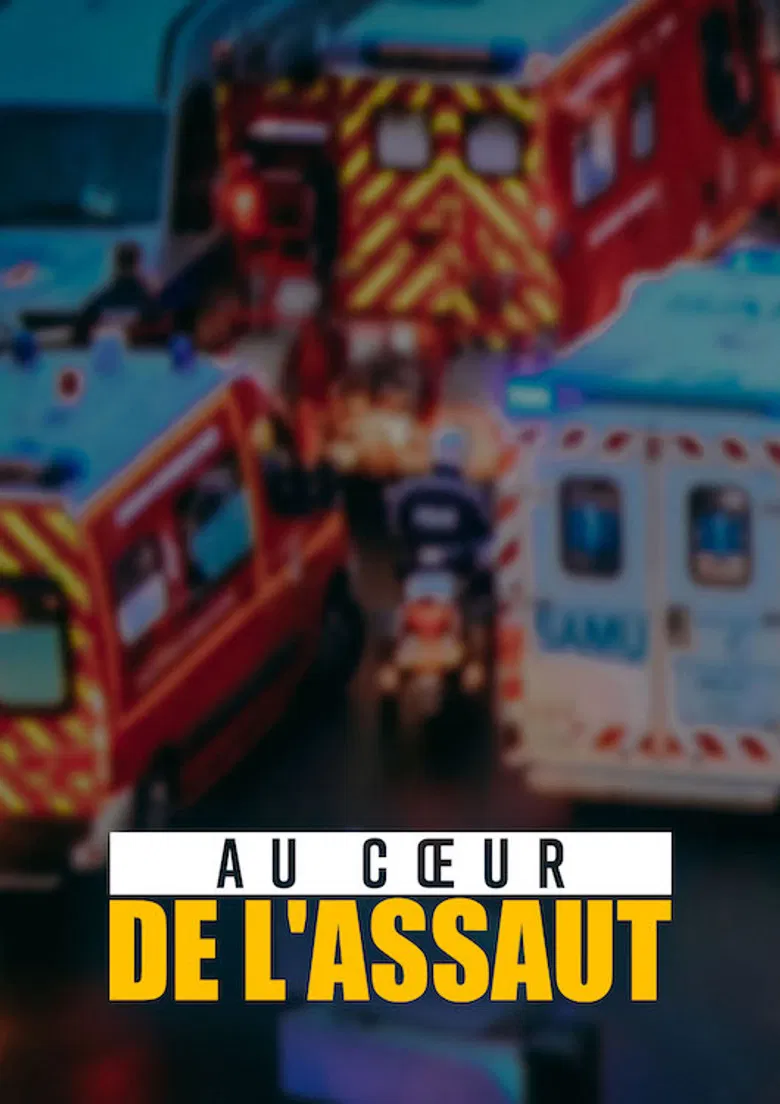Au coeur de l'assaut poster background