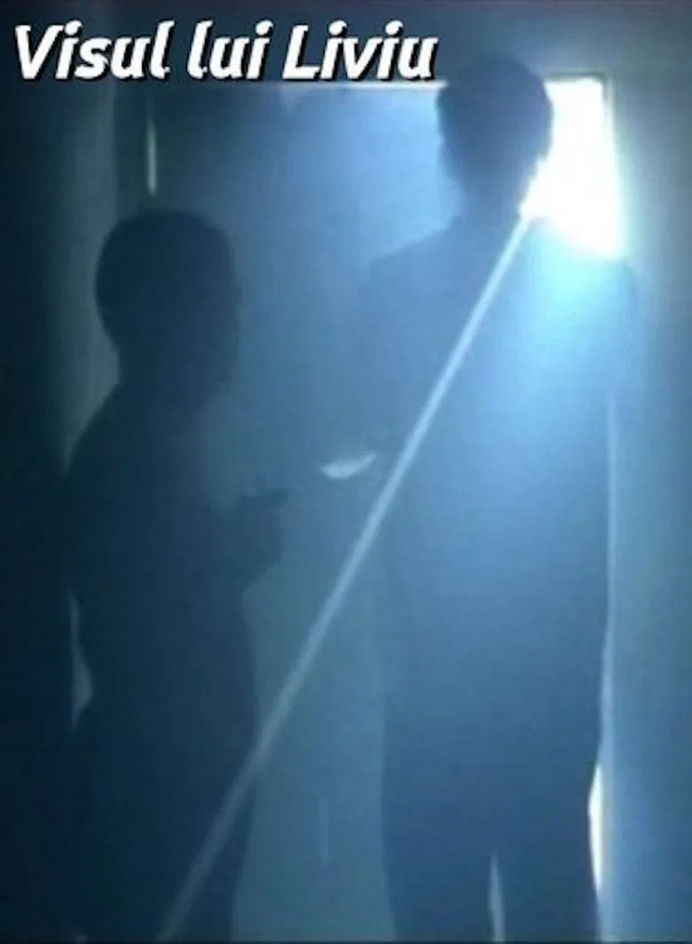 Liviu's Dream poster background