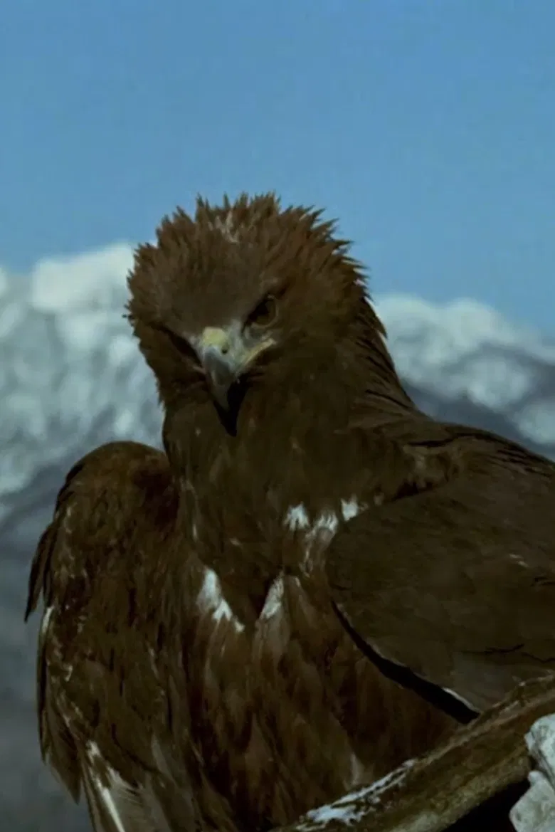 World of the Mountains poster background