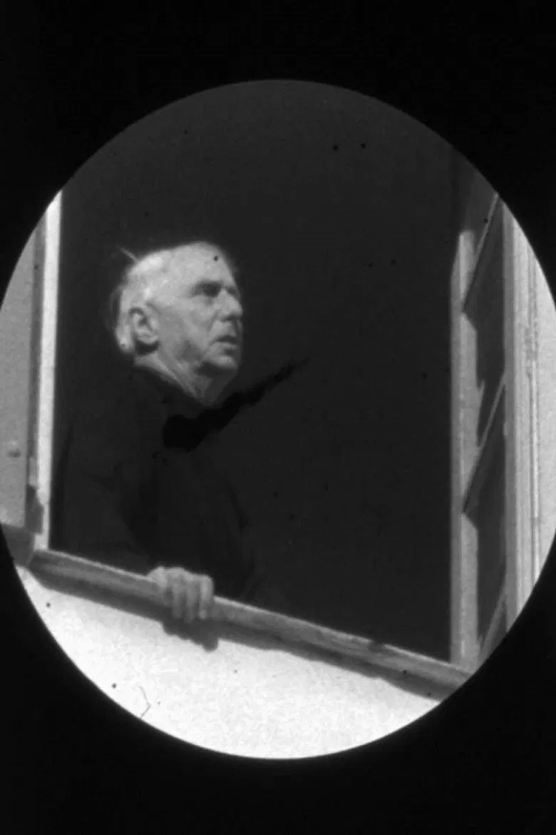 Die widerrechtliche Ausübung der Astronomie poster background