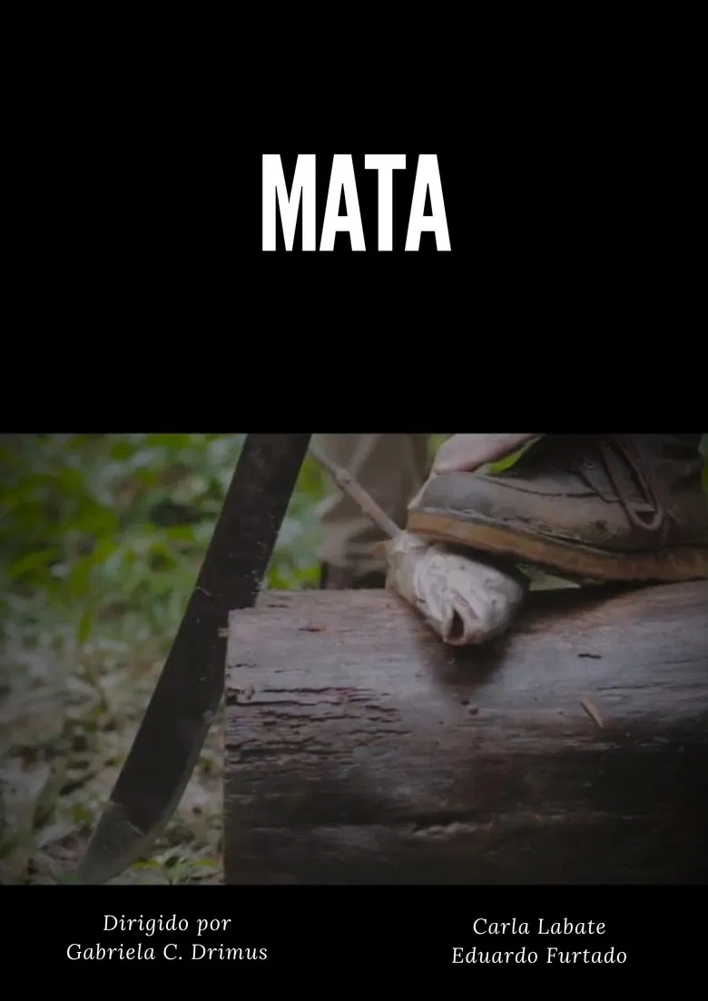 MATA poster background