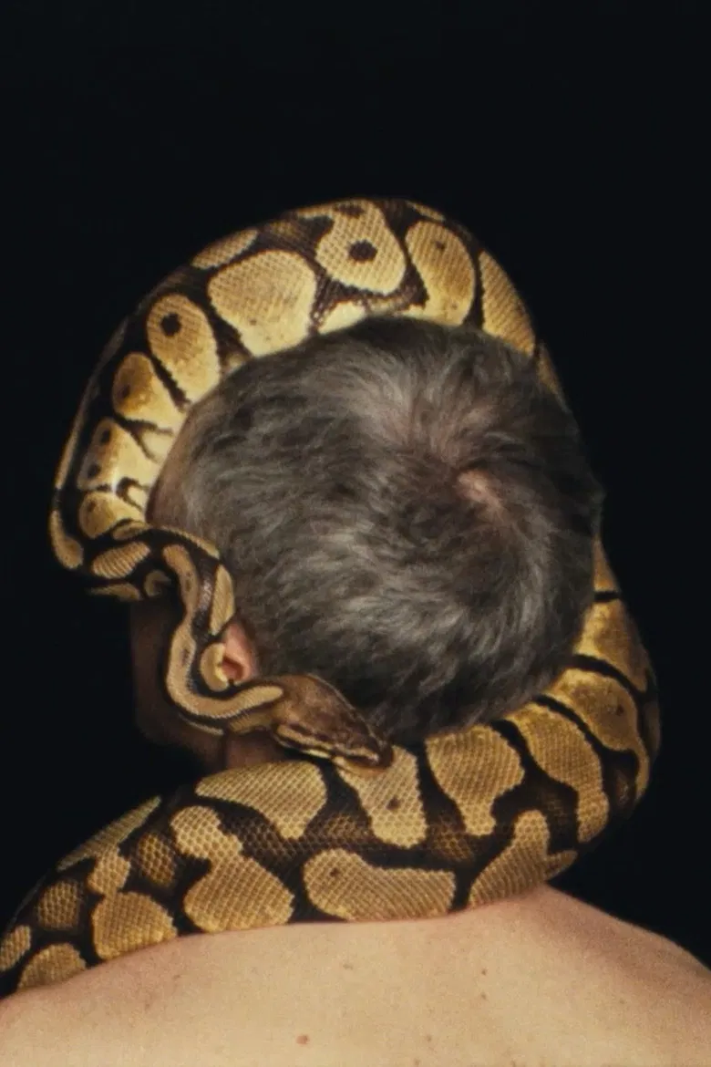 The Seismic Form poster background