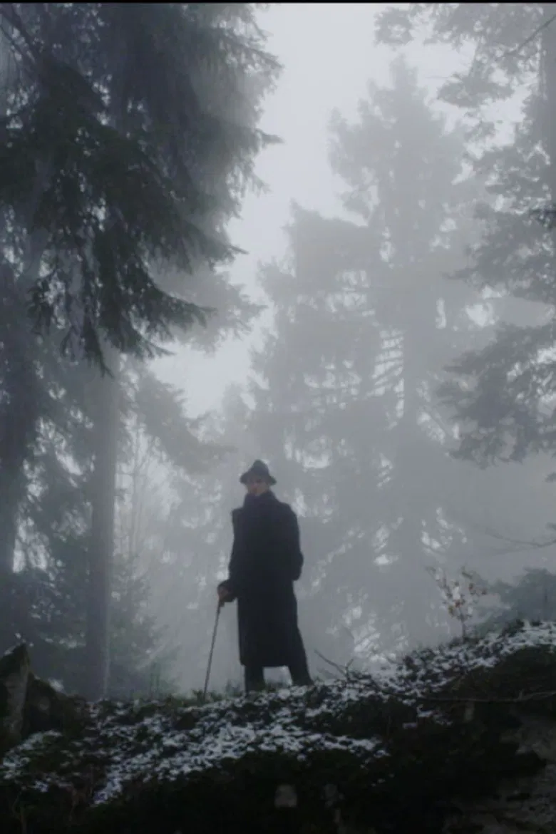 The Raven poster background