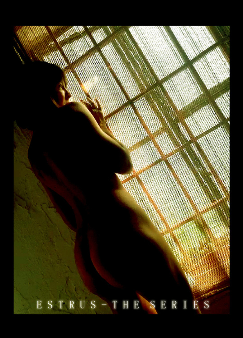 Estrus poster background