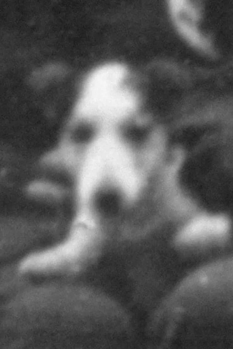 Revision poster background