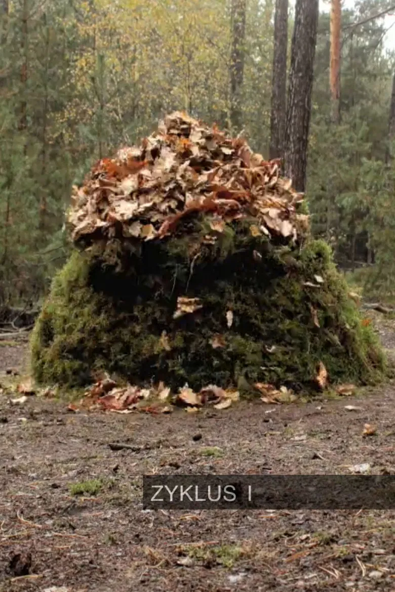 Zyklus I poster background