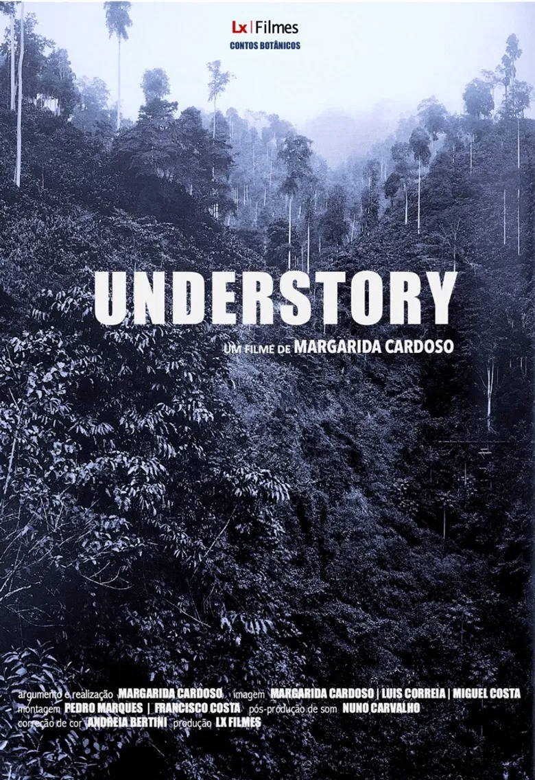 Understory poster background