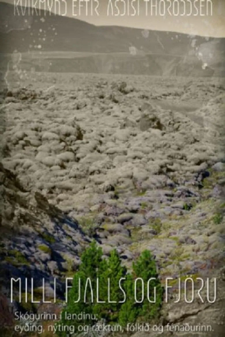 Woods Grew Here Once poster background