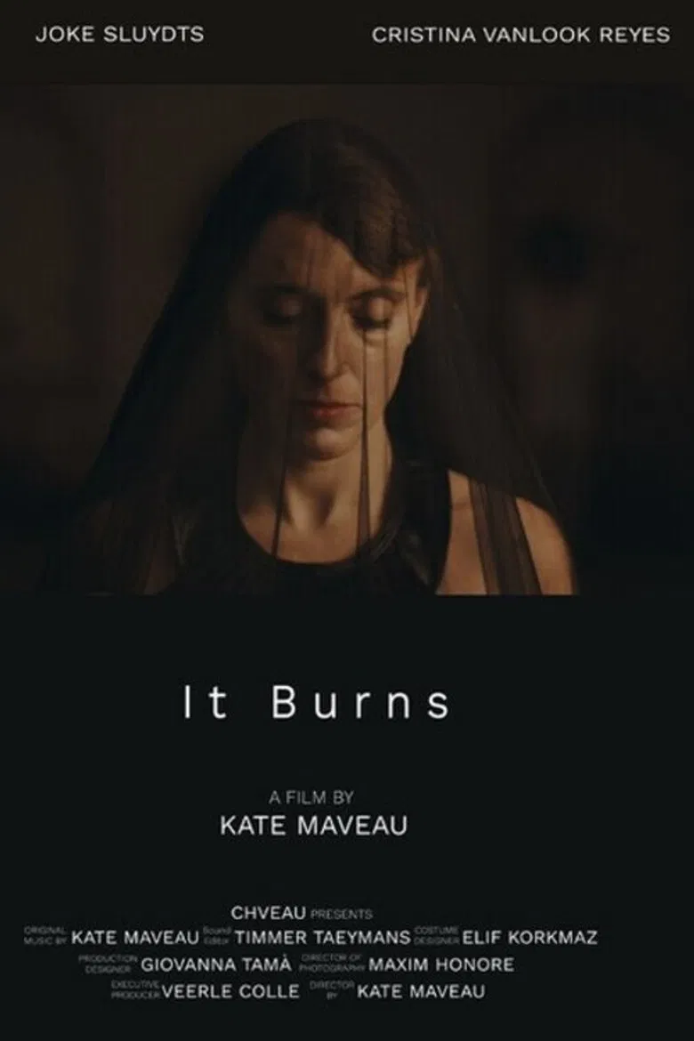 It Burns poster background