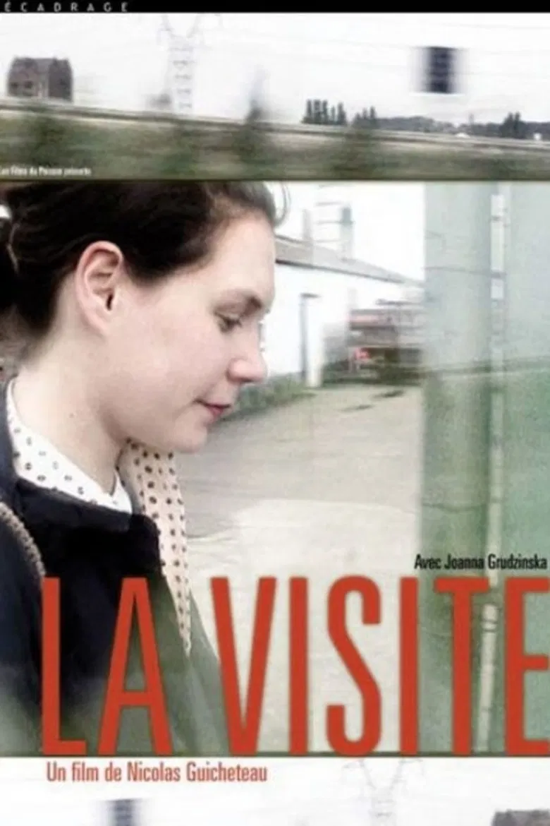 La visite poster background