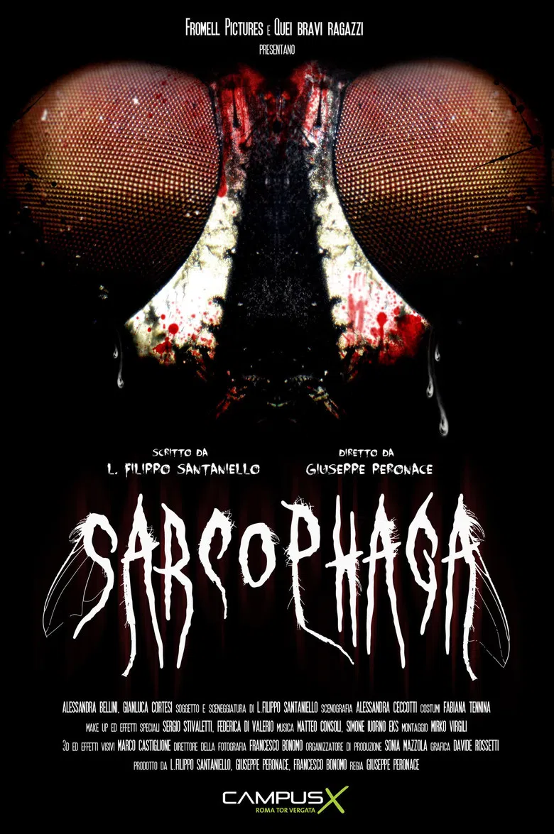 Sarcophaga poster background