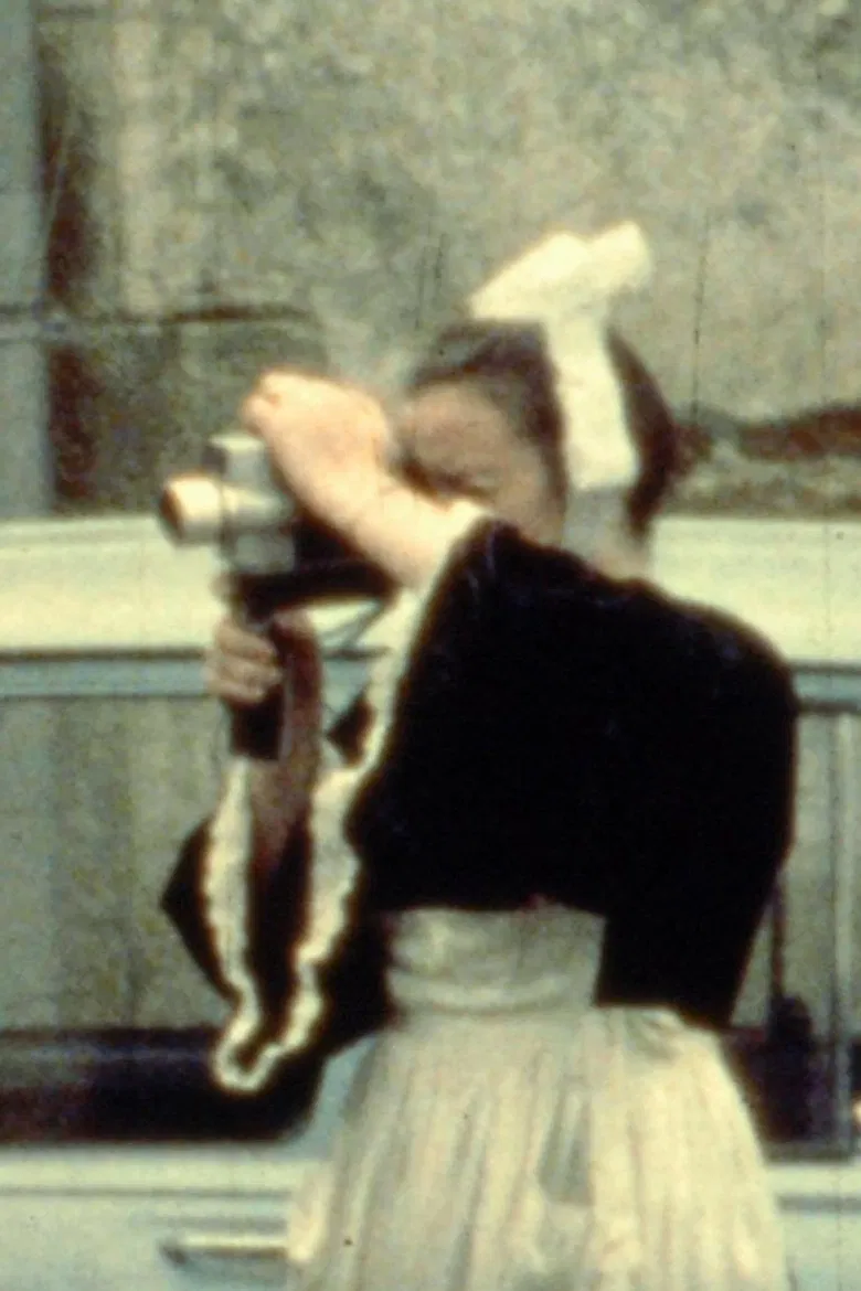 Bretonneries pour Kodachrome poster background