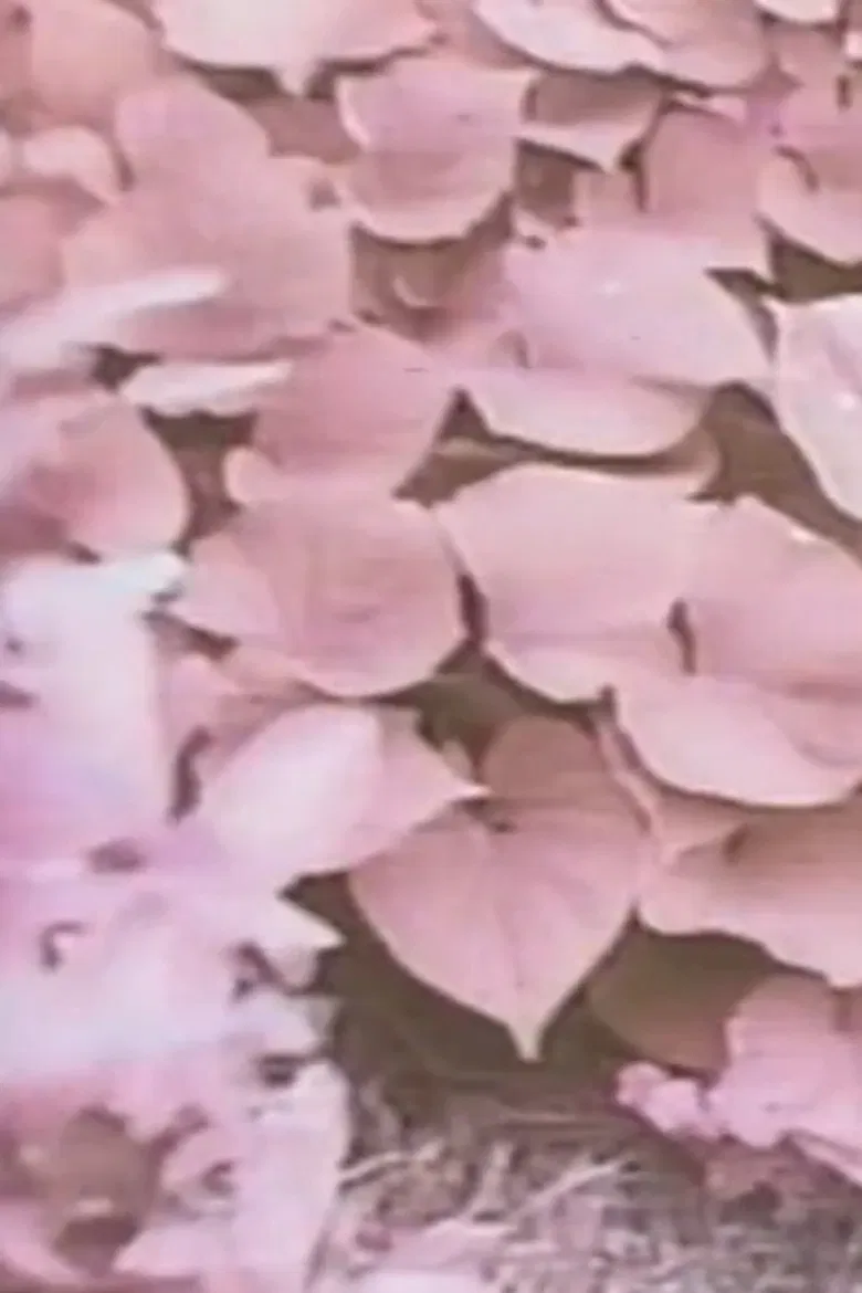 YBO2 canon poster background