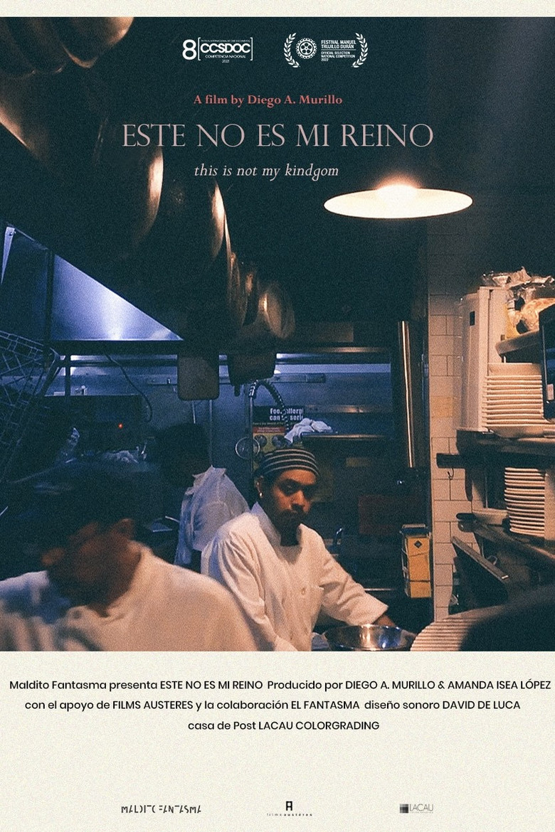 This Is Not My Kingdom poster background