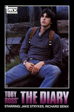 The Diary poster background