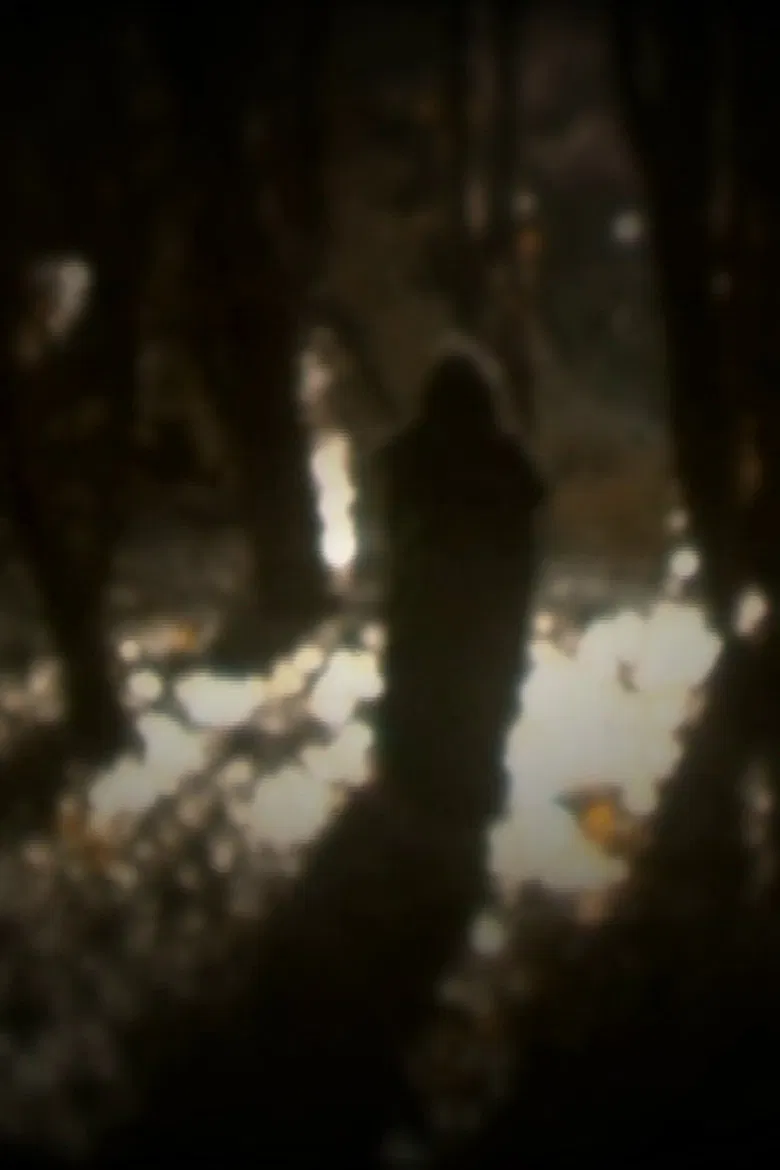 O senso dos desatinados poster background