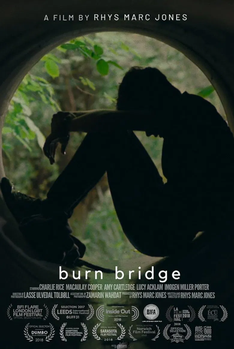 Burn Bridge poster background