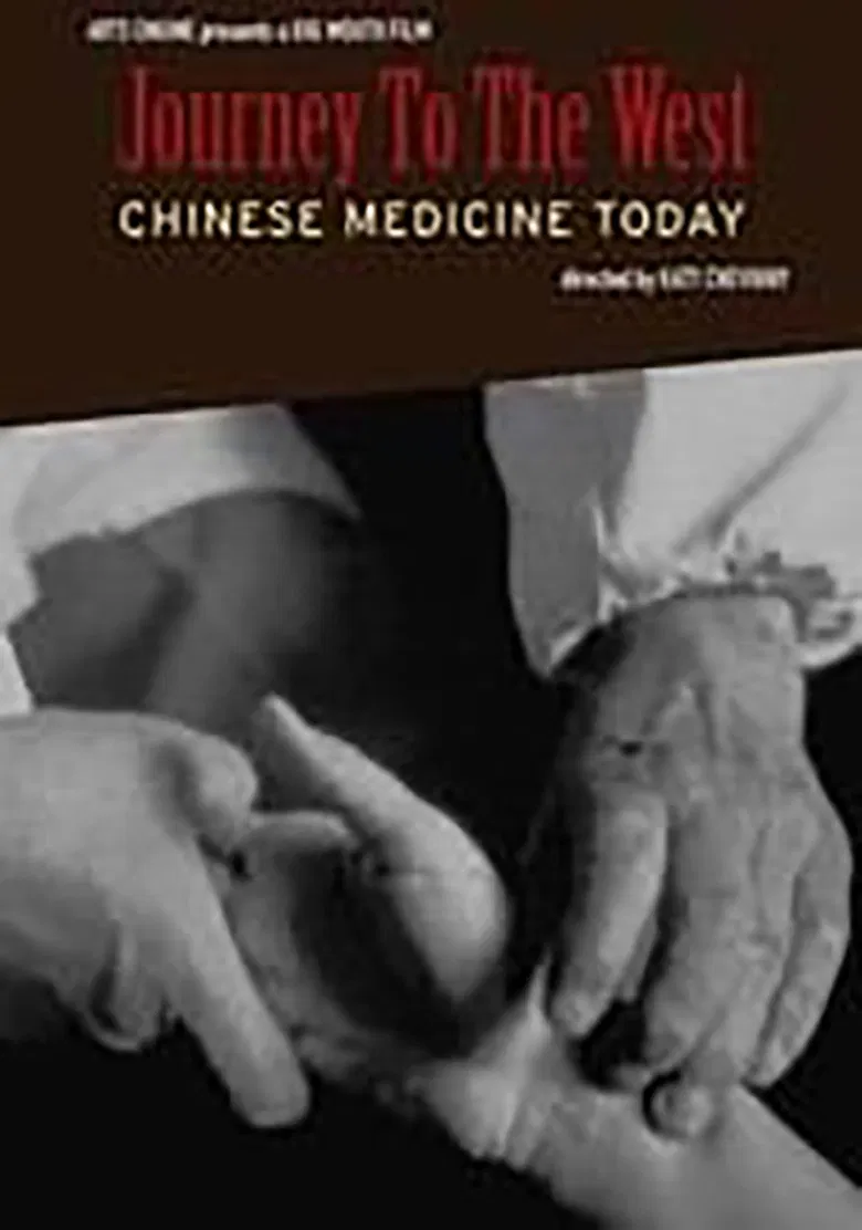 Journey to the West: Chinese Medicine Today poster background