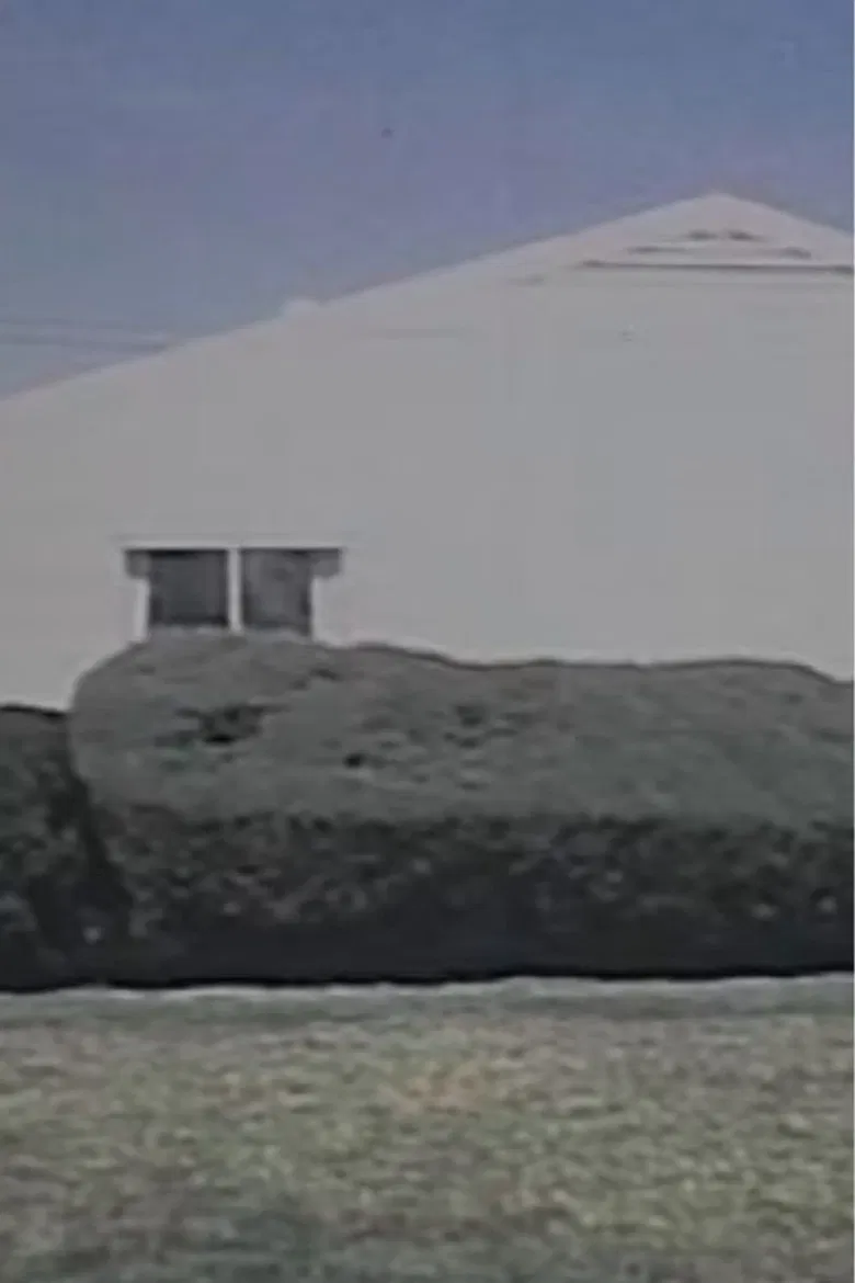 Homogeneity poster background