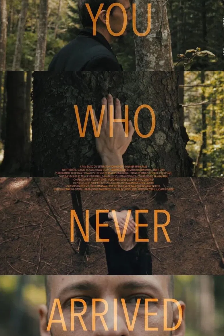 You Who Never Arrived poster background