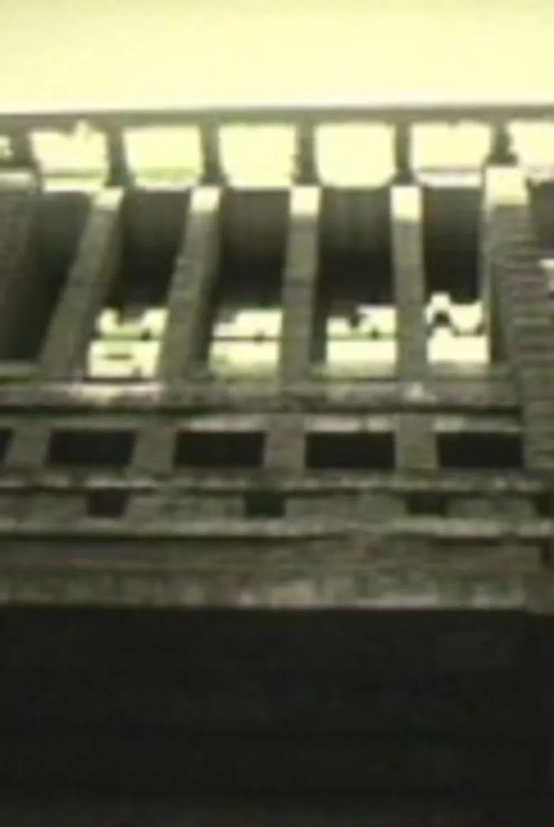 Imperial Hotel poster background