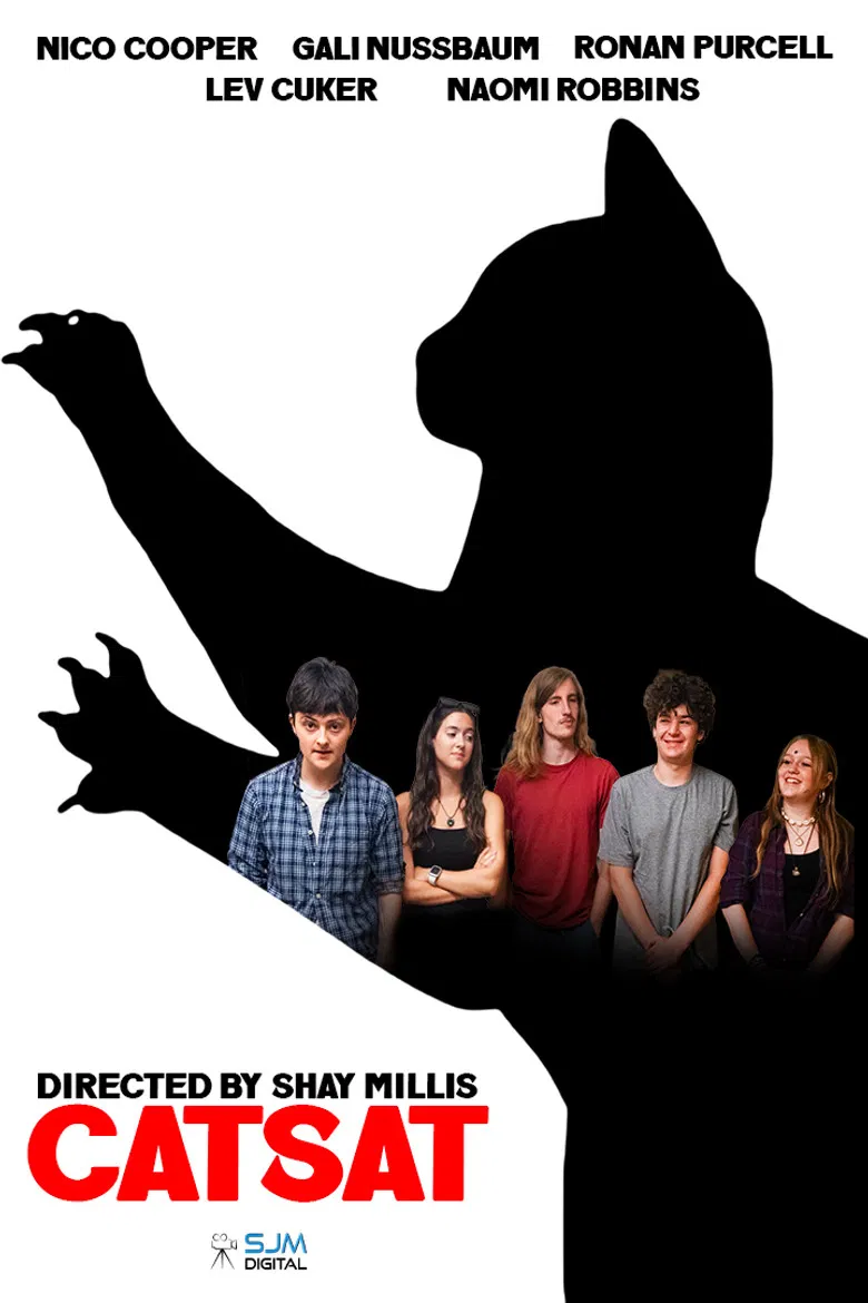 Catsat poster background