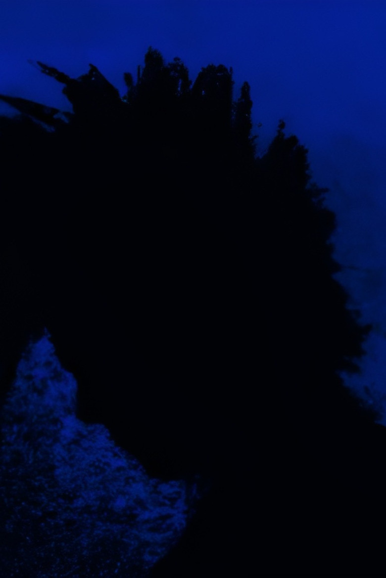 Angel of the Night poster background