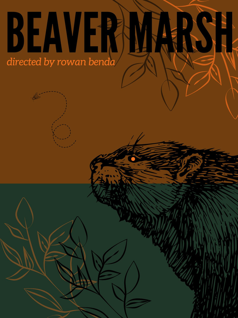 Beaver Marsh poster background