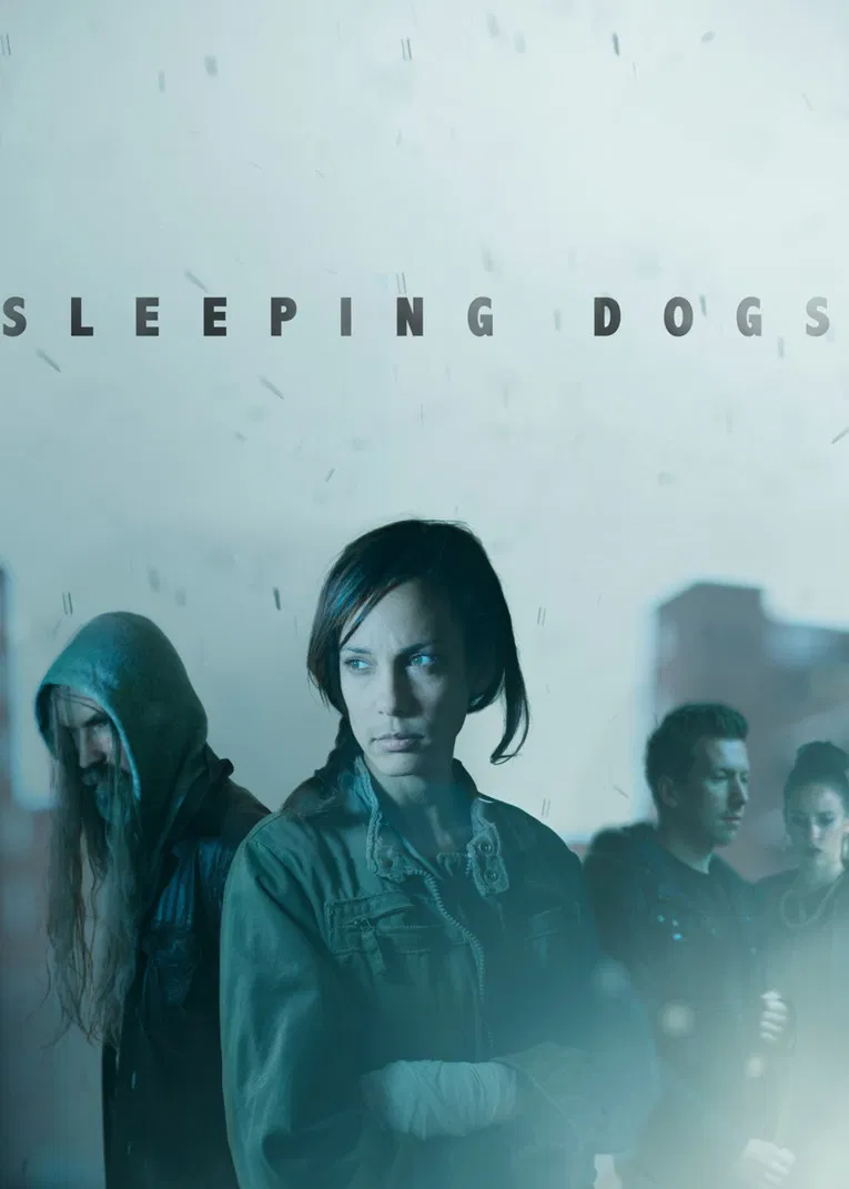 Sleeping Dogs poster background