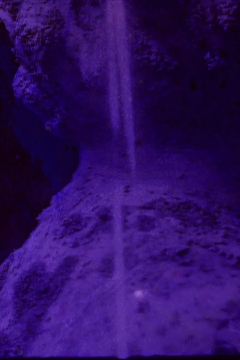 CICATRIX poster background