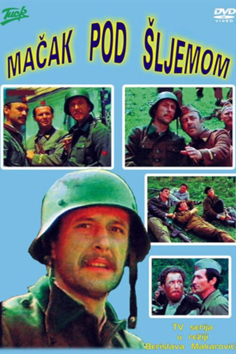 Cat Under a Helmet poster background