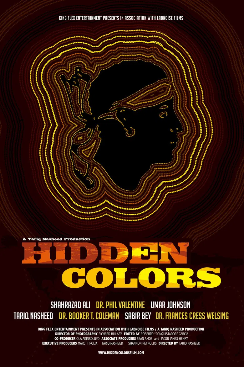 Hidden Colors poster background