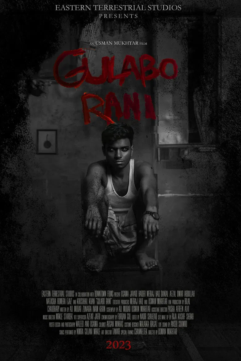 Gulabo Rani poster background
