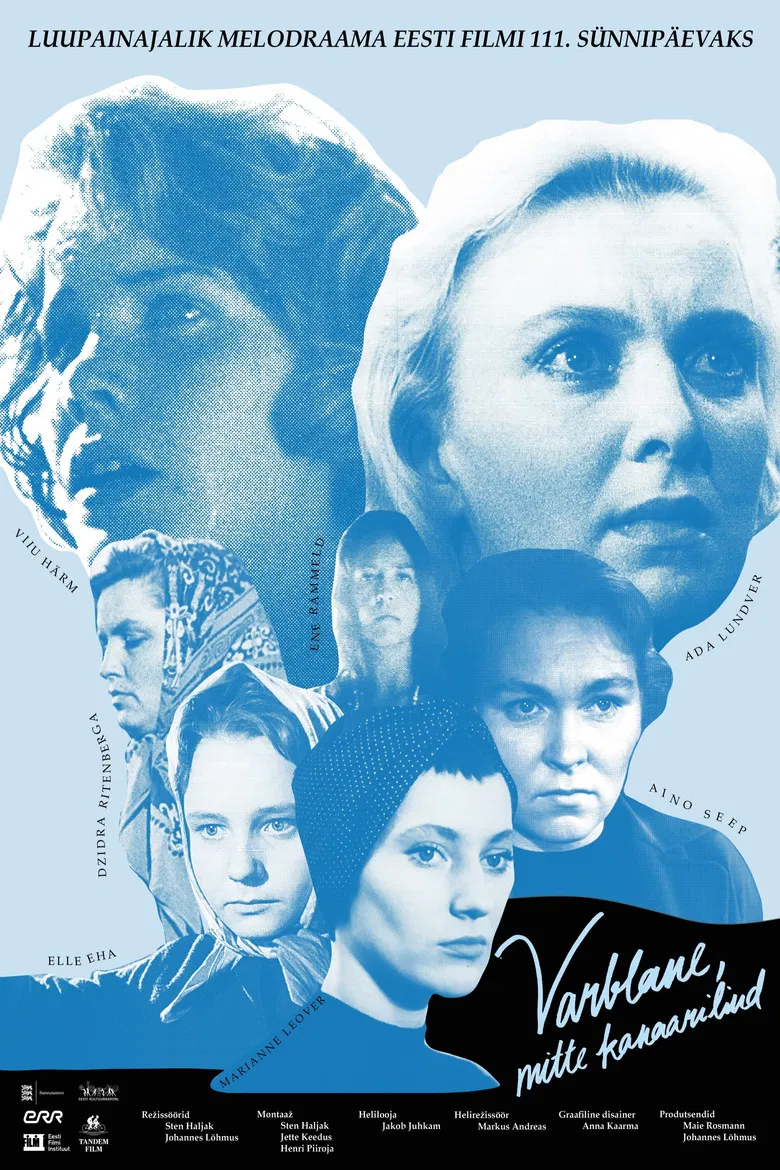 Madwomen: to be a sparrow not a canary poster background