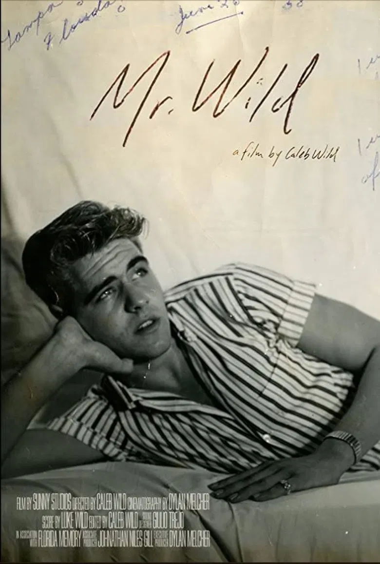 Mr. Wild poster background