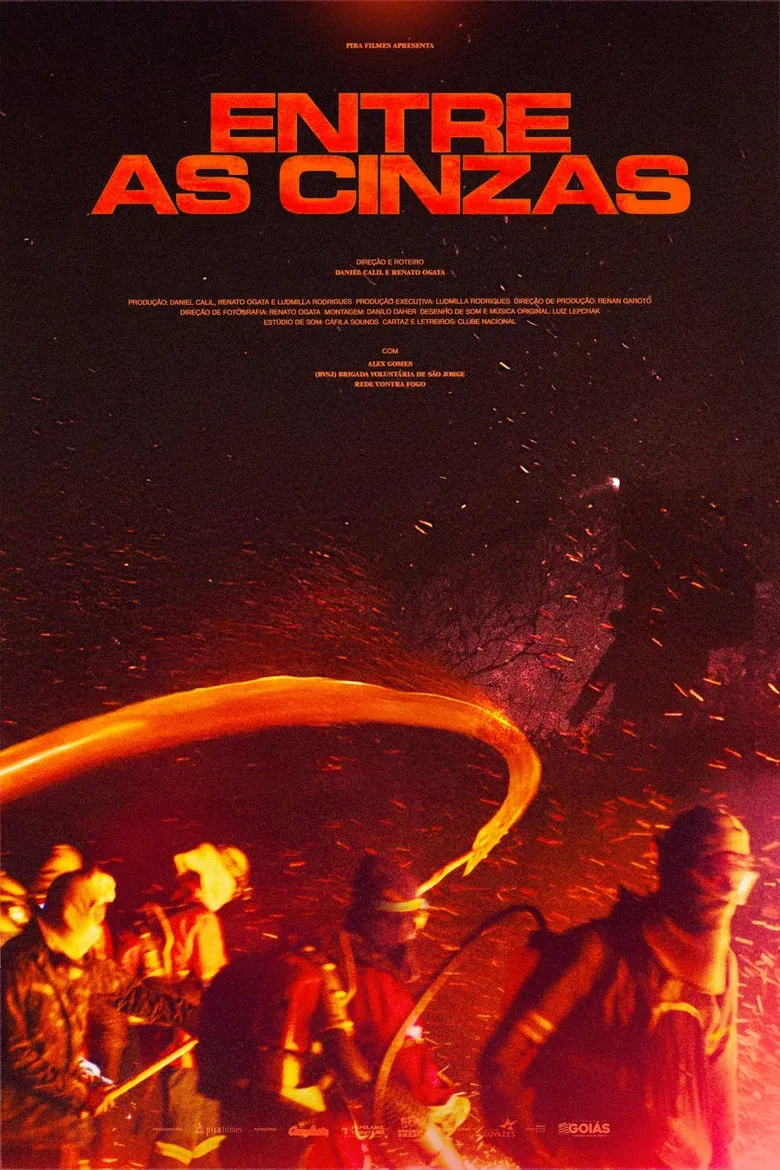 Entre as cinzas poster background