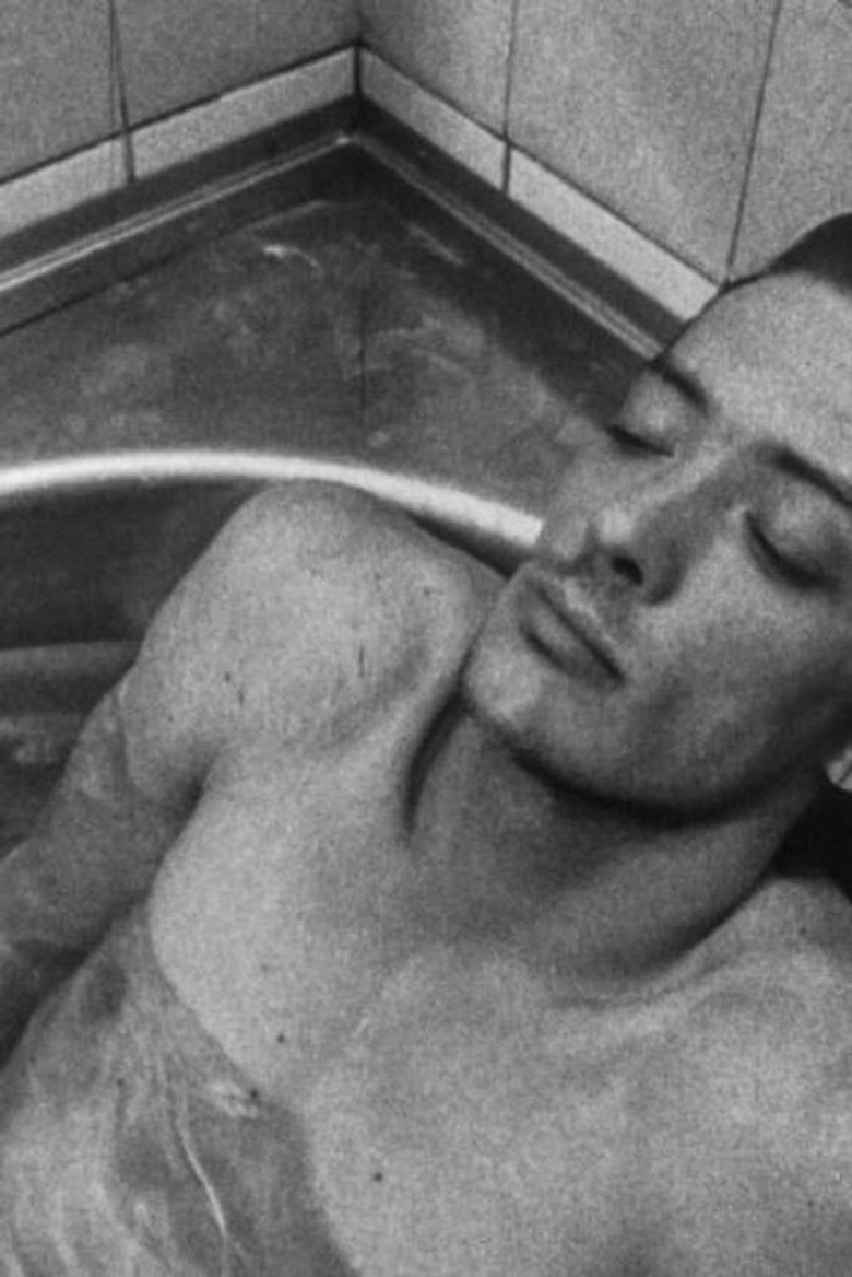 Pochmann poster background