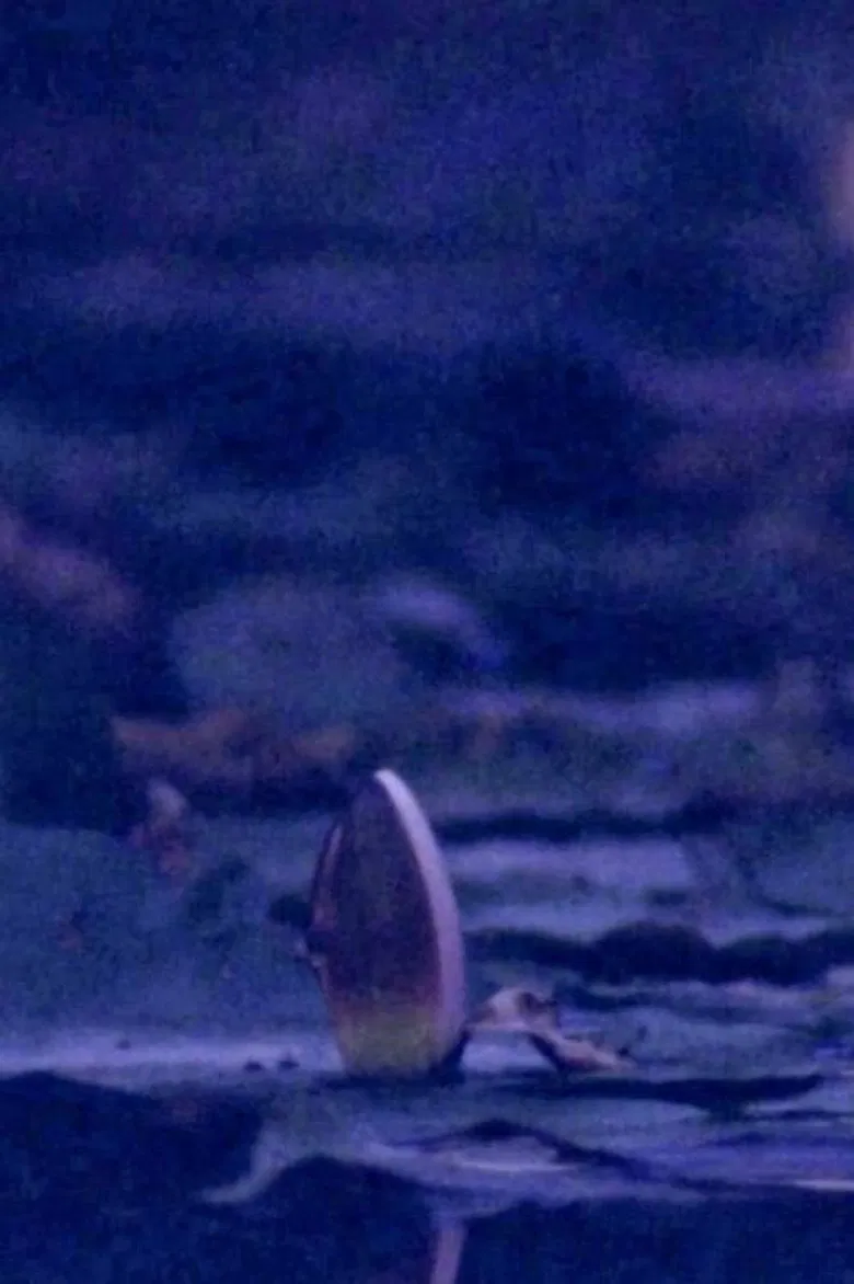 Giverny's Cusp poster background