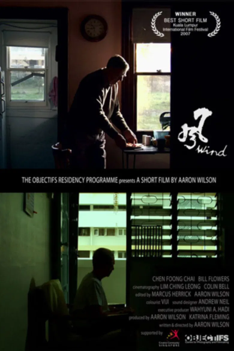 Feng poster background