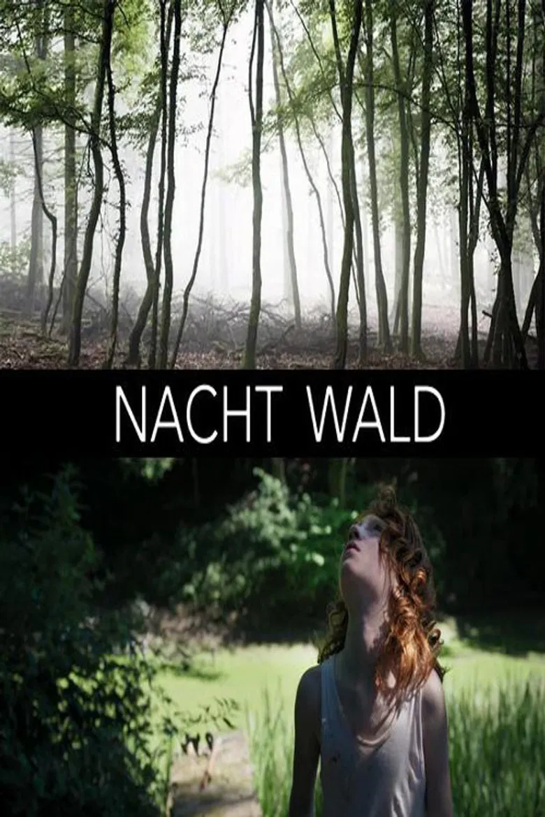 Nacht Wald poster background