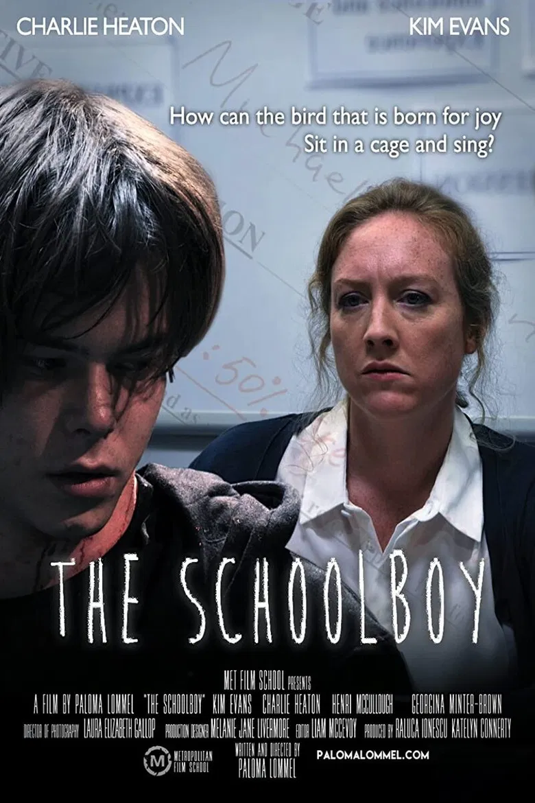 The Schoolboy poster background