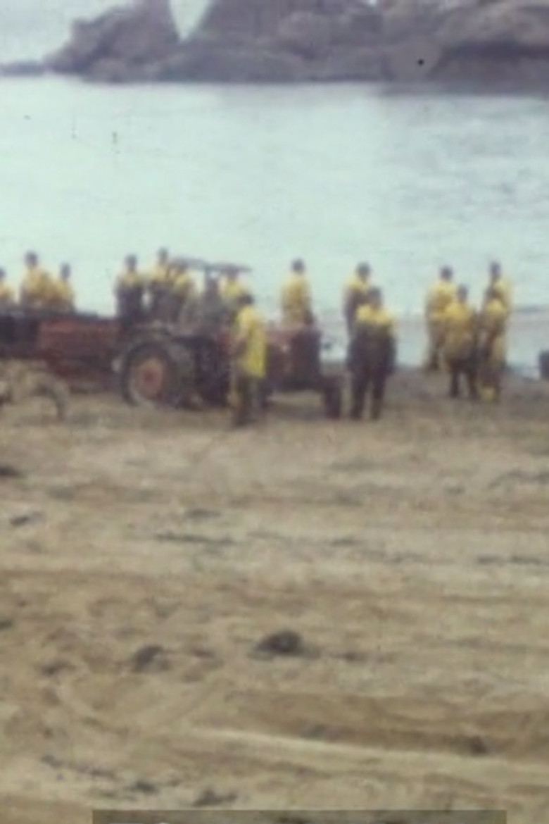 Collection série noire : Tome 4 poster background