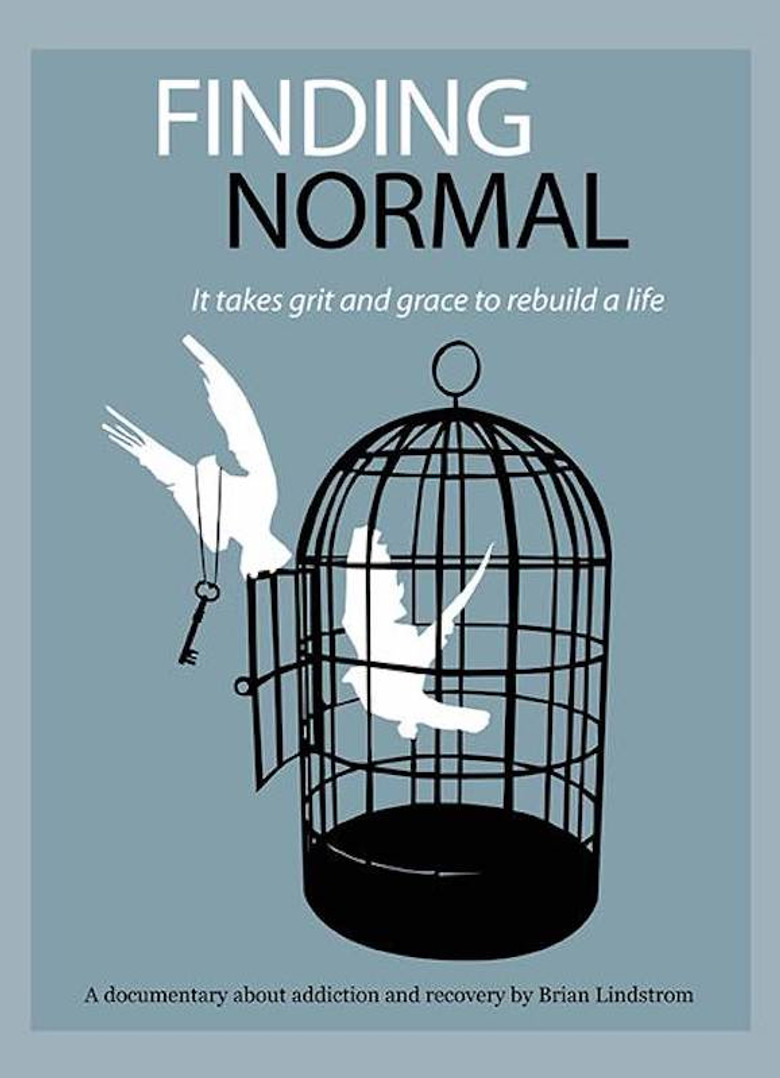 Finding Normal poster background