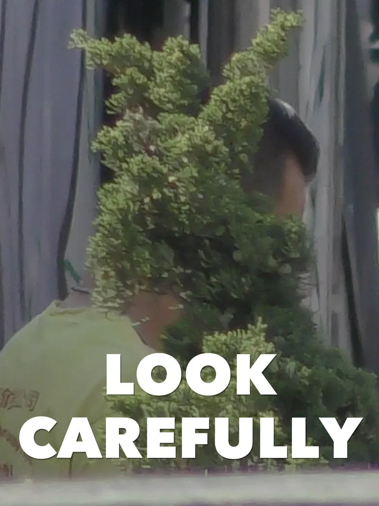 Look Carefully poster background