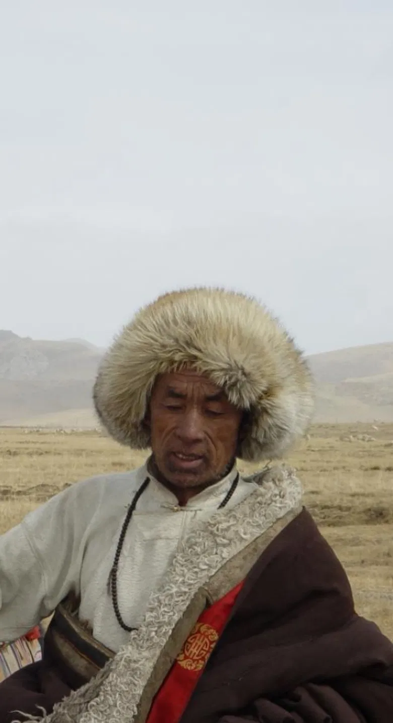 The Grassland poster background