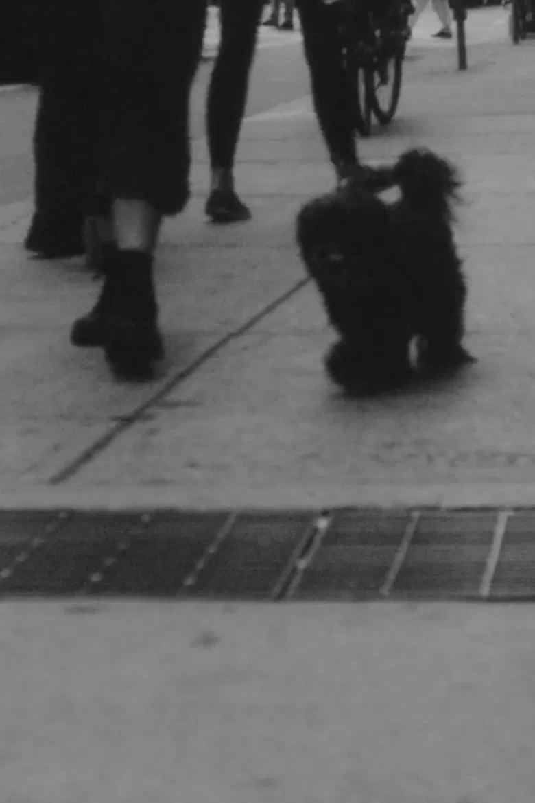 Norman poster background